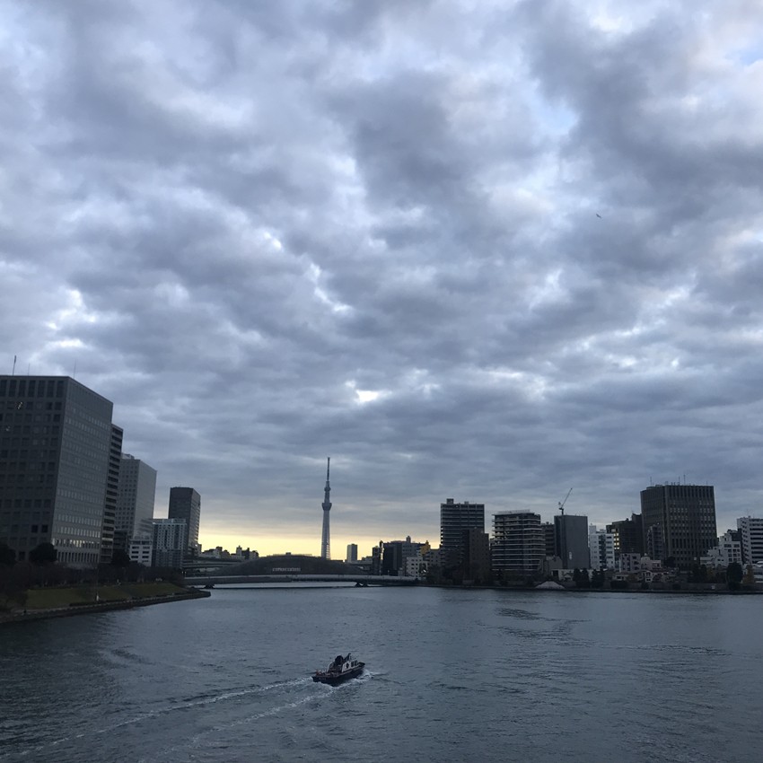 东京自由行攻略详细介绍大全,东京自由行攻略详细介绍视频大全