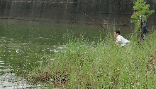广东钓土鲮鱼用多大的子线和钩子,南宁用什么饵料钓土鲮