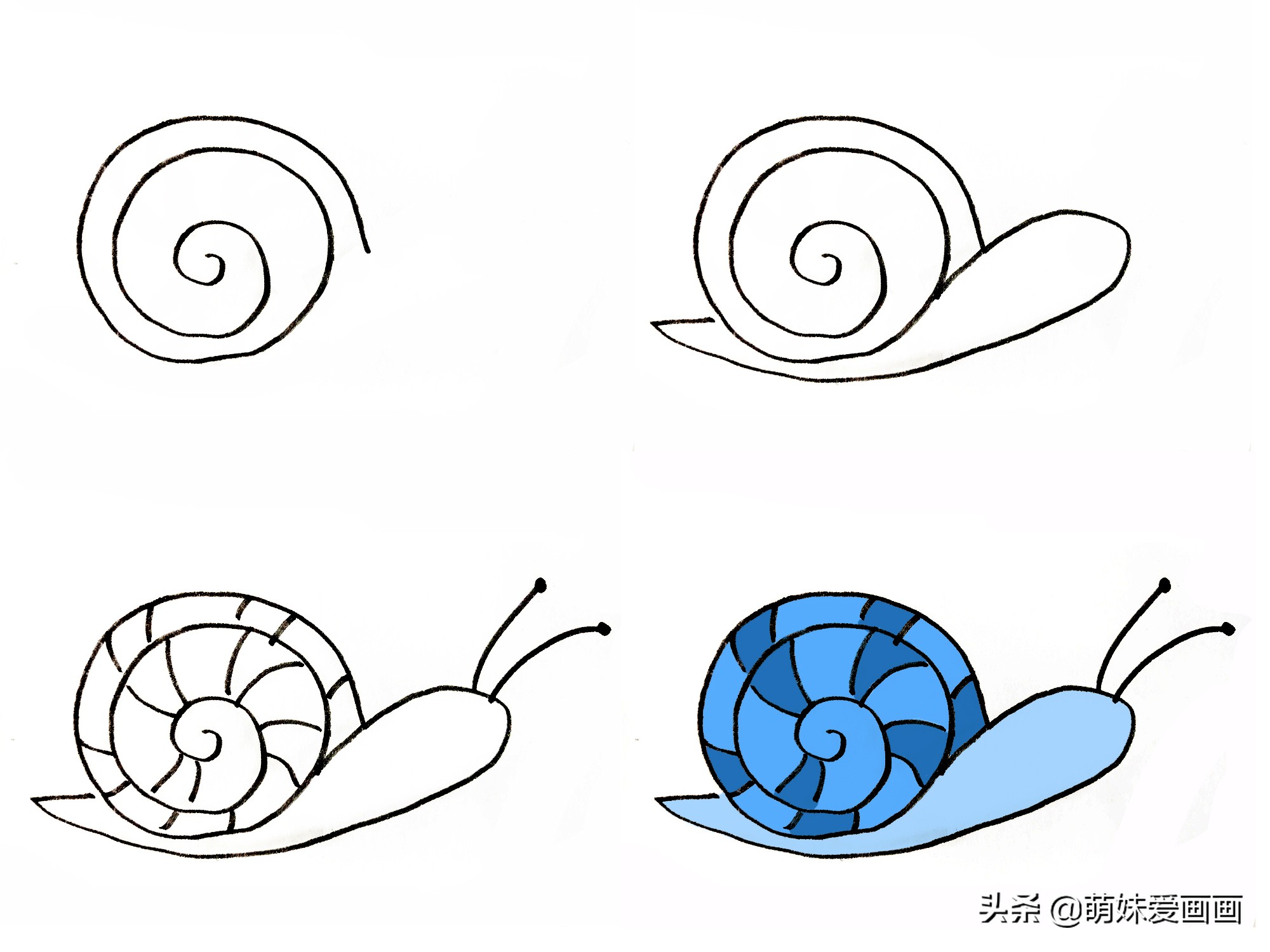 蜗牛生活在什么地方简笔画,蜗牛的简笔画大全简单又漂亮
