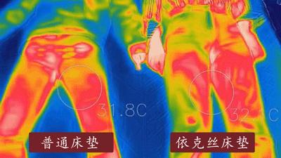 夜里翻身被冻醒?这床来自日本的黑科技毯子,不插电就能升温9℃