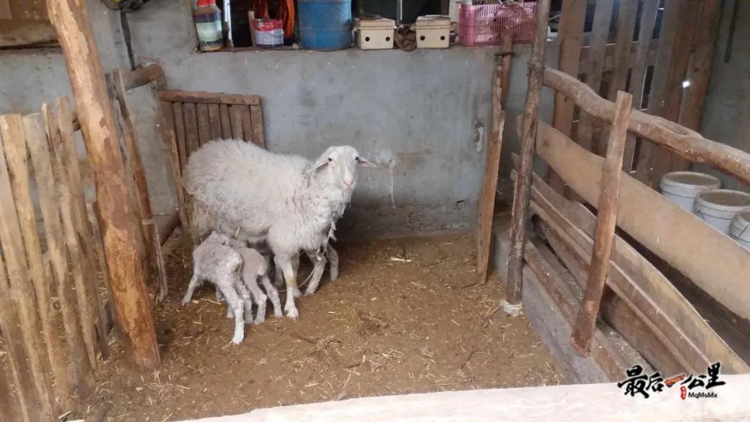 访惠聚走访工作信息,访惠聚工作任务大不大