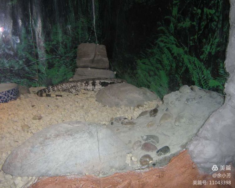 上海野生昆虫馆,上海昆虫馆门票多少