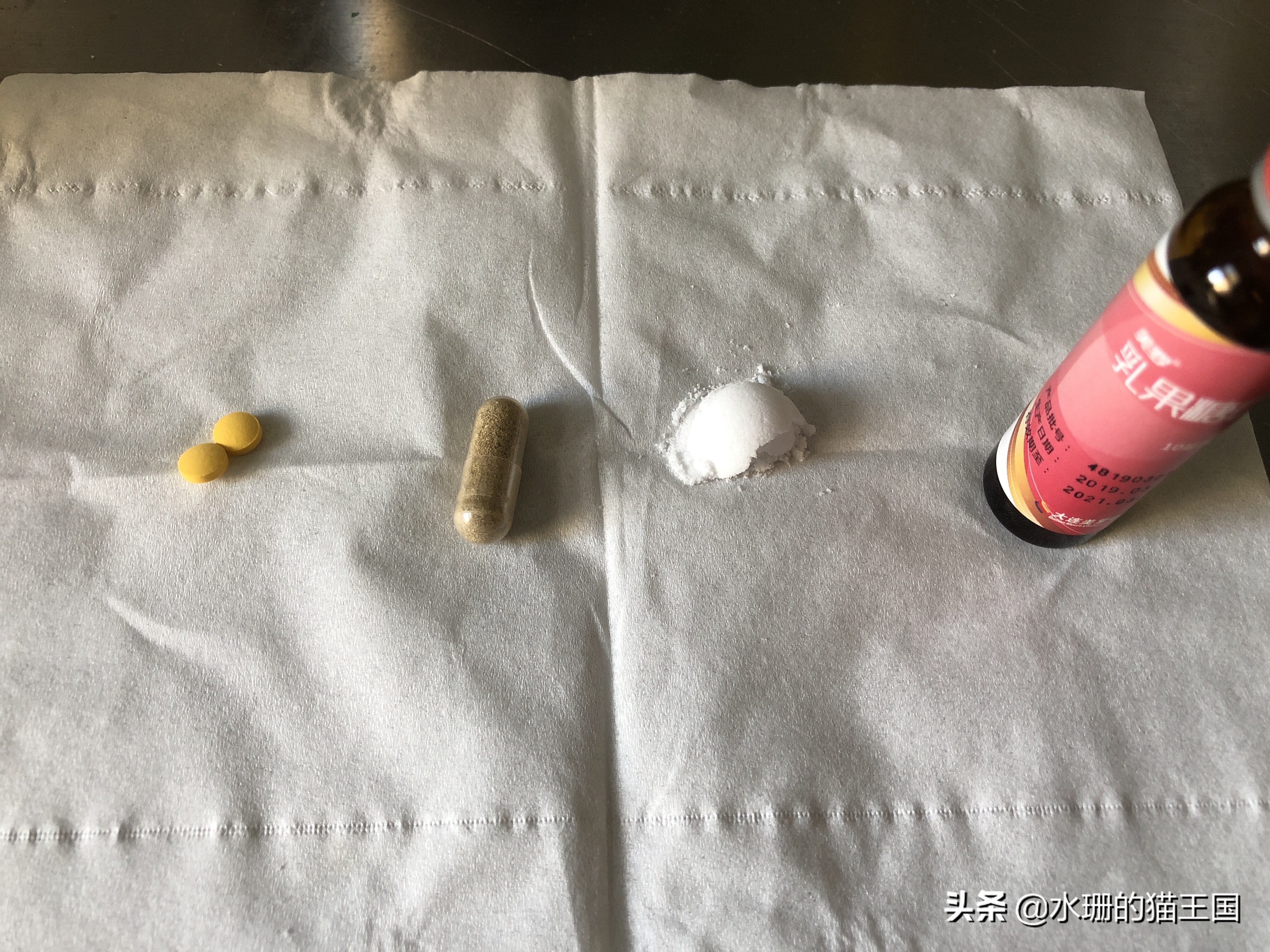 猫咪吃药口吐白沫，还难吃的哭了，到底怎么给猫喂药？正解在此