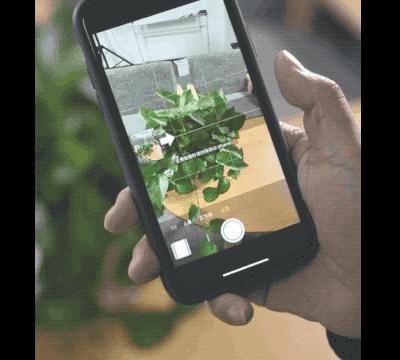 ios16.1相机功能介绍,iphone有哪些技术