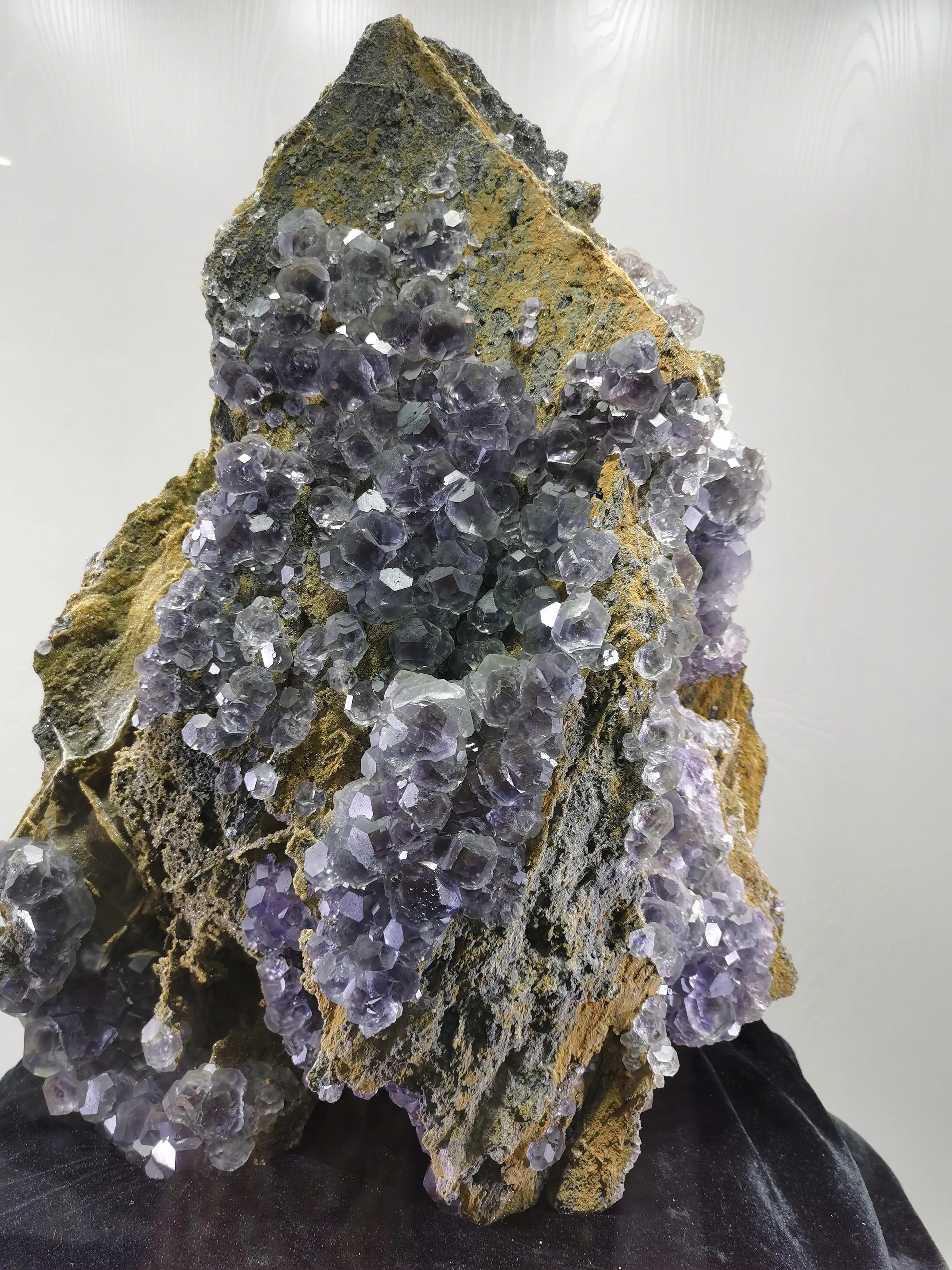 南京古生物博物馆开放时间及门票,南京古生物博物馆作文