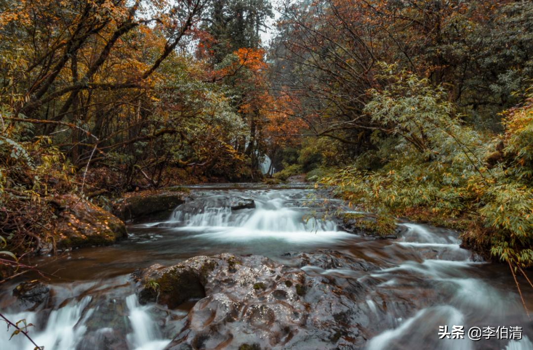 论耍，川A大军，世界第一！（内含免费耍福利）