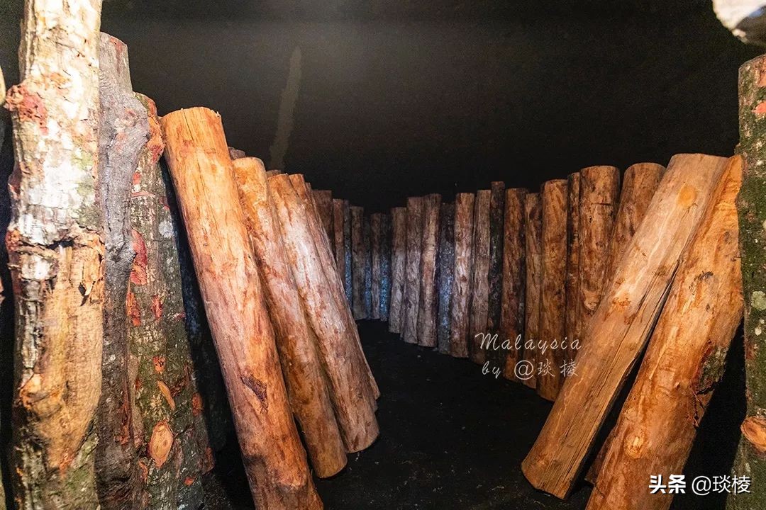 探秘大马最后的炭窑，发现某大牌神仙水，原料竟然是从木炭中来的