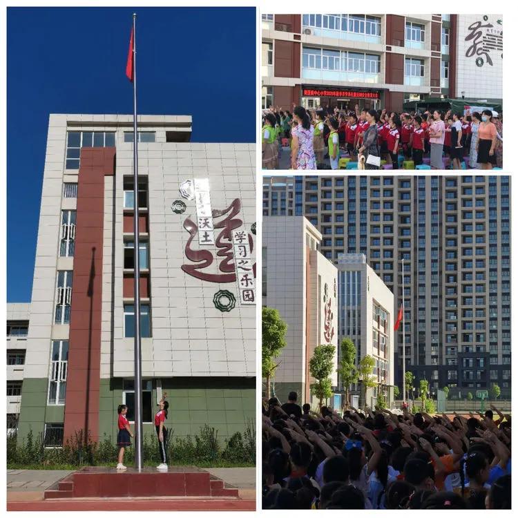 全面了解班级学生,阳逻街中心小学散学典礼