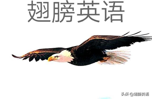 新冠作文素材高考,新冠阅读理解及作文素材