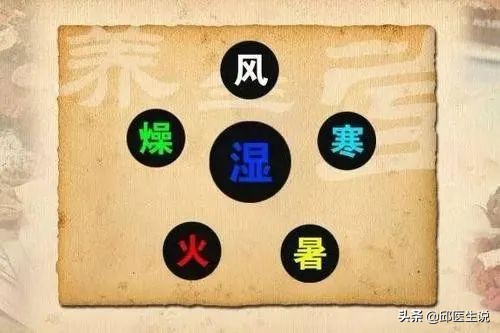 容易感冒体虚怎么增强免疫力,气虚免疫力低总感冒怎么办