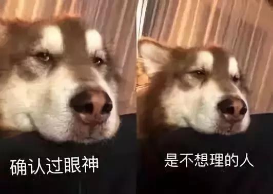 2018年十大流行词,今年网络十大流行词