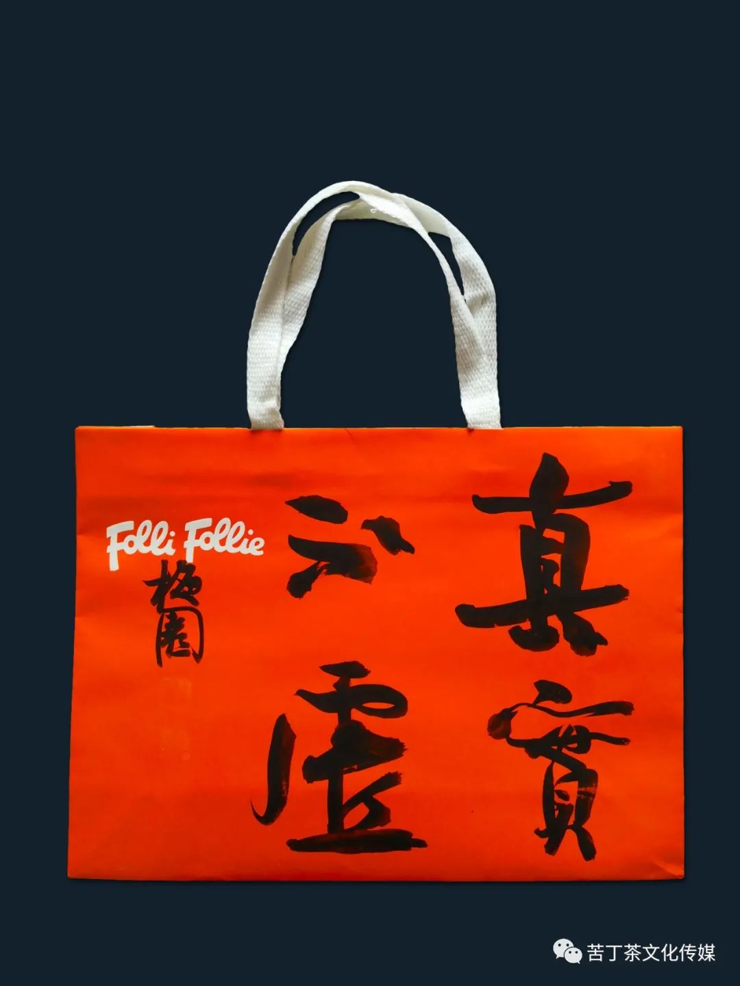 变废为宝---梅园创作的手提袋书画作品