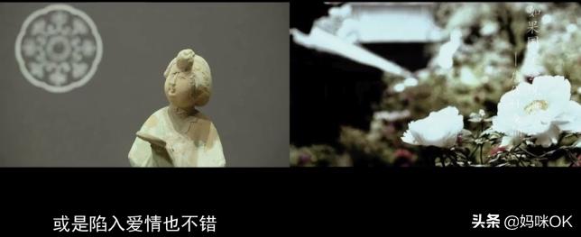 和抖音一起涨知识,跟抖音涨知识跟能人学本事