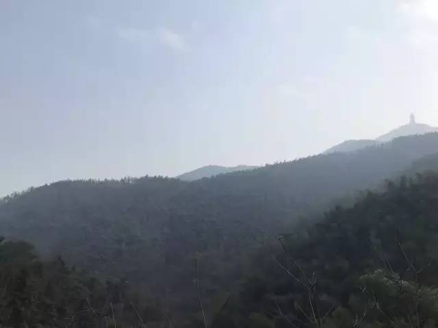 我的家乡被遗忘,我的家乡曾经也很美丽