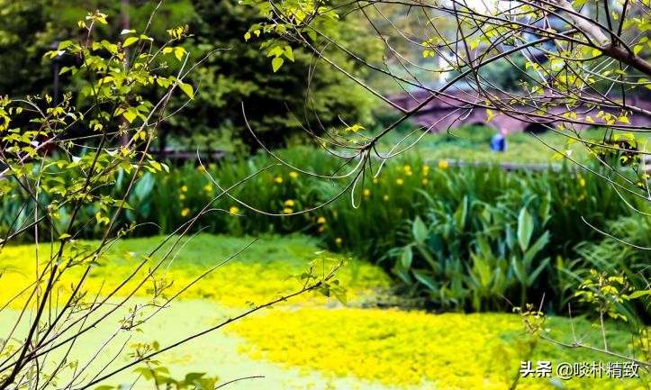 时代变了赚钱的本质没变,时代在变生意模式也要变