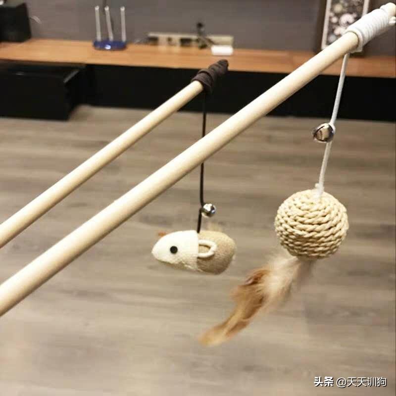 狗狗最爱玩的小玩具有什么,狗狗喜欢的玩具排行榜大全