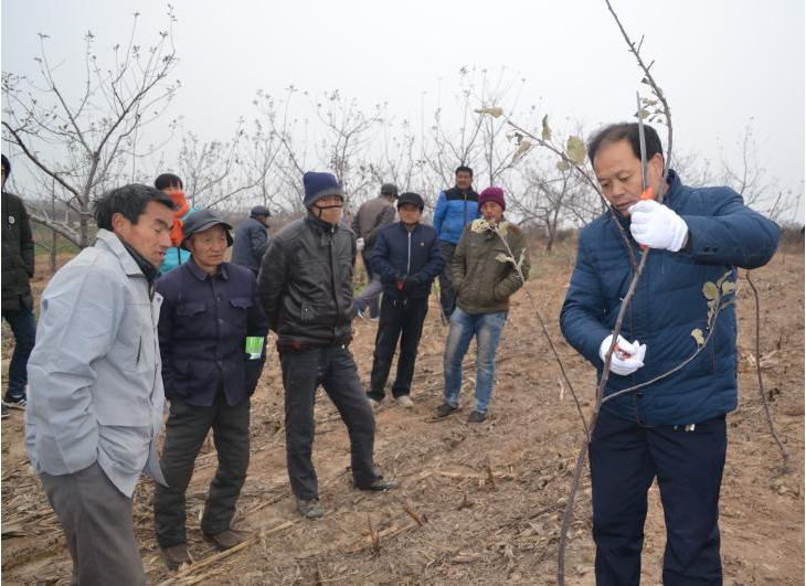 涔惧幙鍐滄妧绔欑珯闀垮惔鏅撴斂,鏋滃啘鐨勮创蹇冧汉