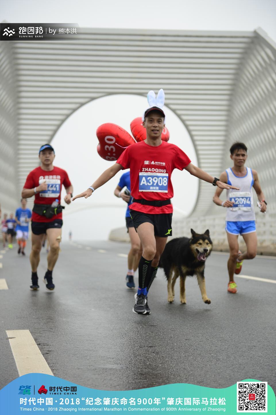 *马特**龙珠队肇庆马拉松之旅