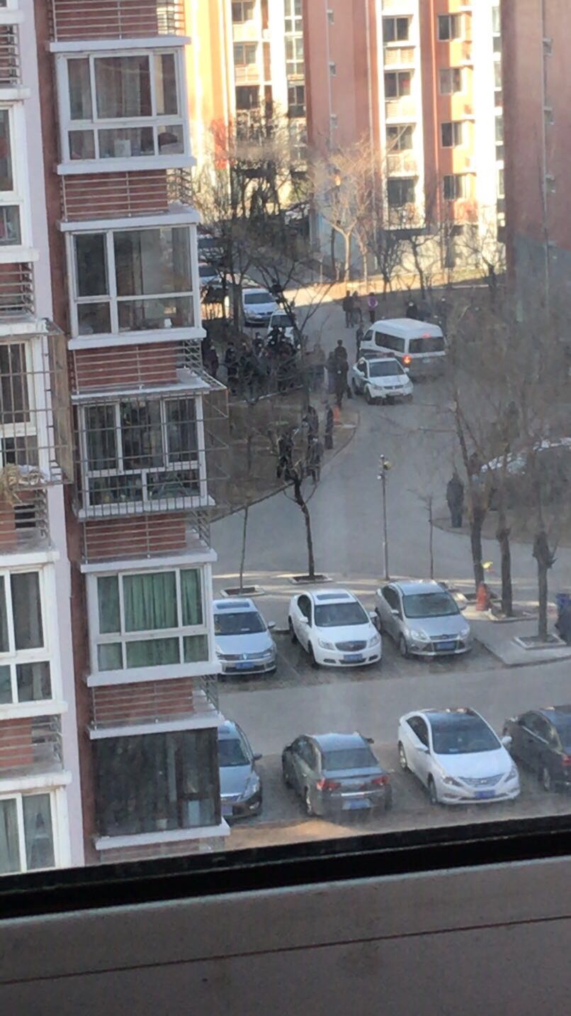 秦皇岛市海悦公馆坠楼事件,秦皇岛团结里坠楼事件