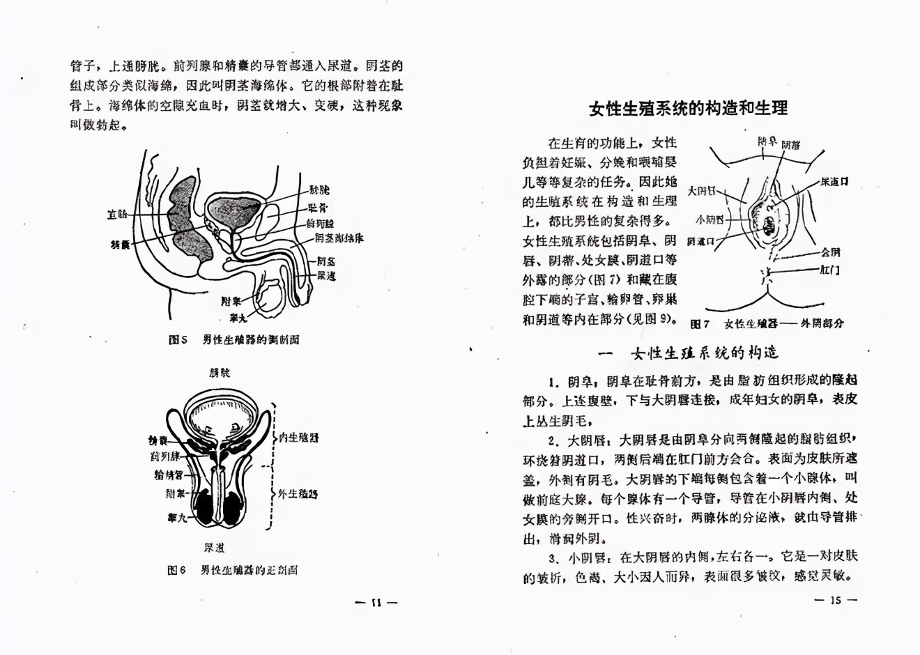适合亚洲人的高分性教育片，“凭什么女生怀孕，就要被退学”