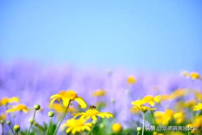 激励又暖心的诗词,八首暖心诗词谢谢你温暖我心