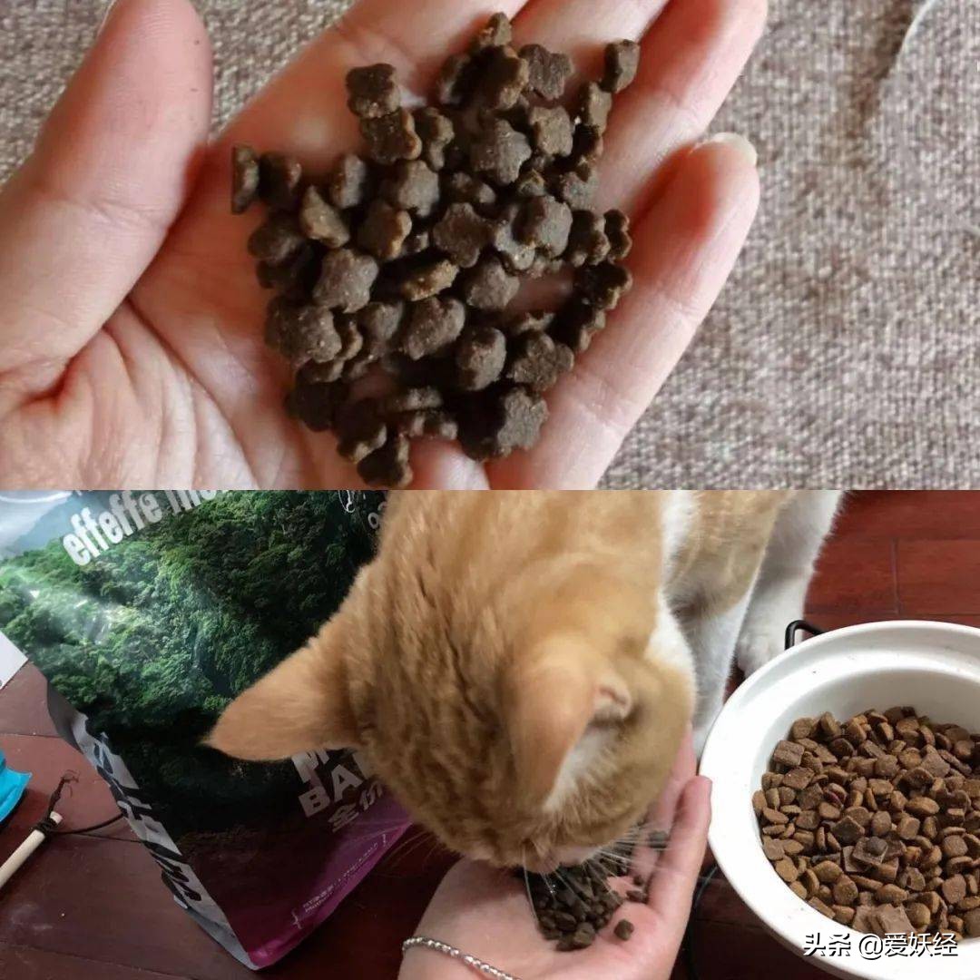 软便精有救了？干了这碗粮，养胃又护肠