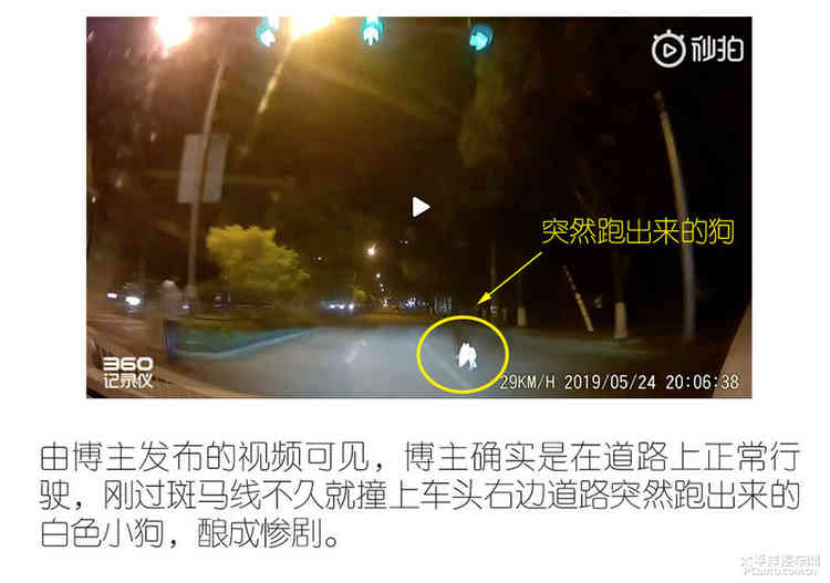 避之唯恐不及车撞死狗后该如何处理？