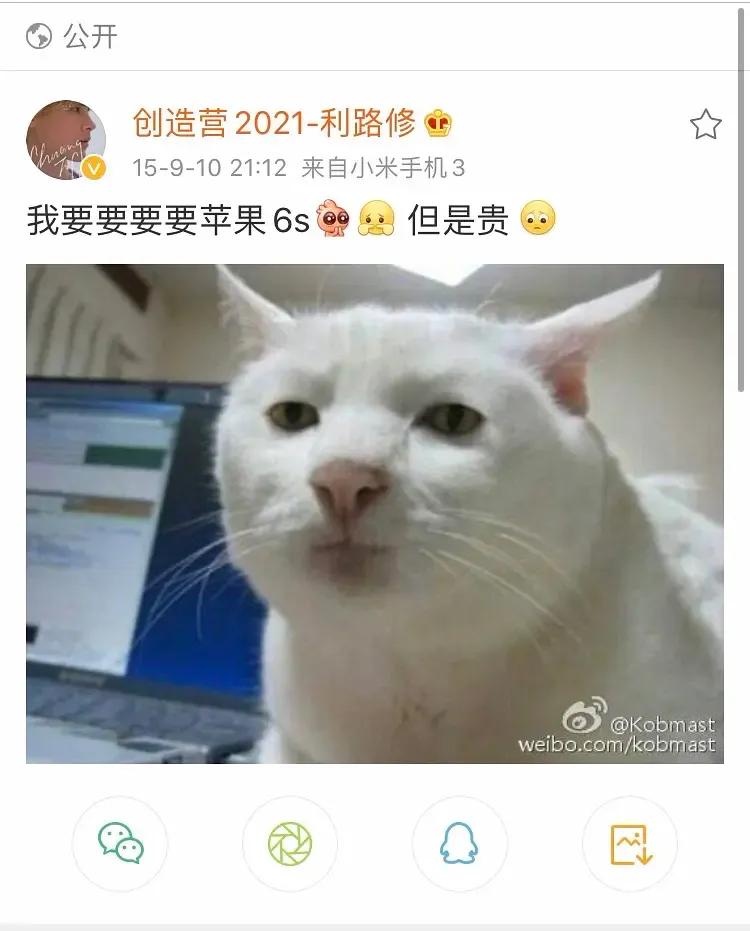 利路修输给谁了,利路修晋级成功了吗