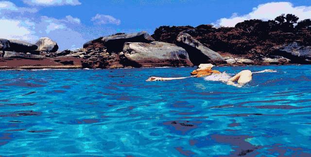 福利满满惊喜不断,福利惊喜活动