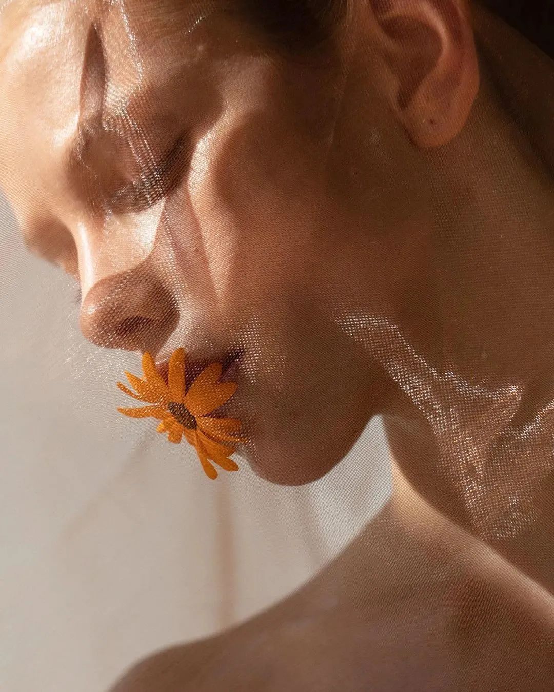 这些情而不色的「局部特写」,也太高级了吧