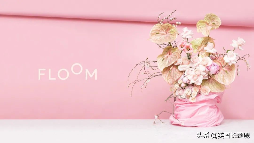 情人节来了怎么少的了fafa?英国鲜花速递服务大盘点:浪漫满分