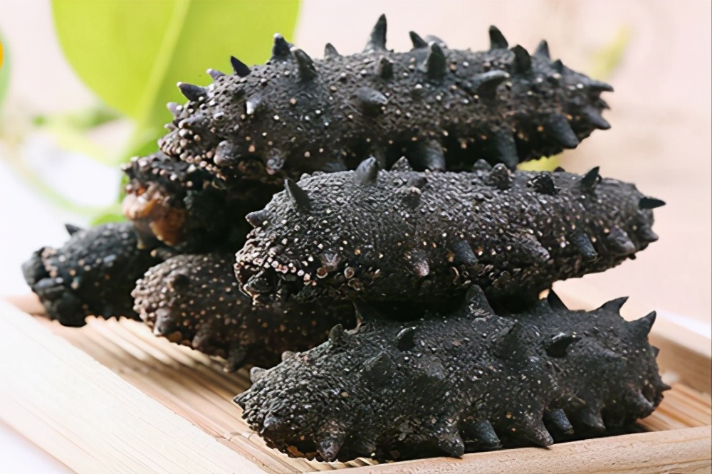 海洋生态，一站体验｜青岛市灵岛金沙品牌助力海洋经济新发展