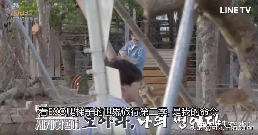 exo综艺爬梯子第三季预告,exo团综爬梯子世界旅行有第三季吗