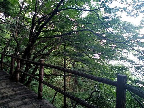 打卡天竺,天竺山之旅