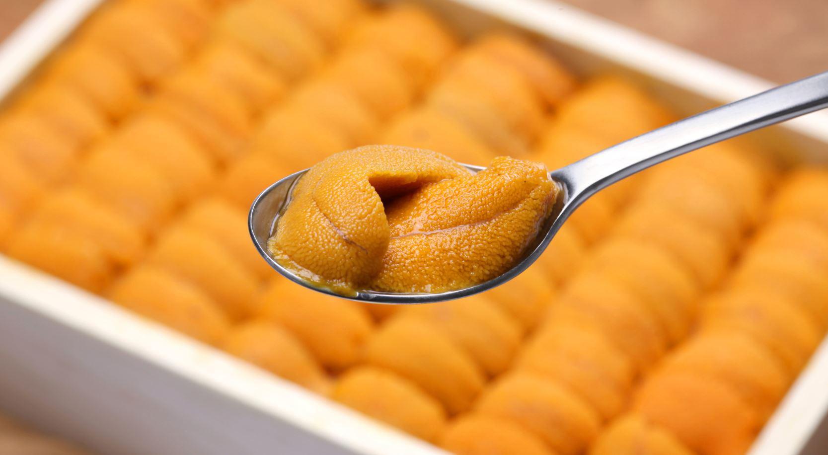 海胆到底多好吃,海胆原来是这么吃的