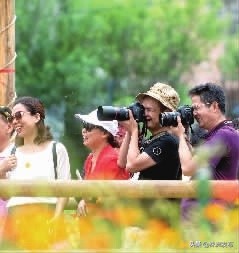 株洲是一个如诗如画的城市,株洲特别好的一个城市