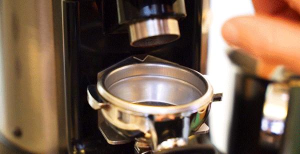 体育西咖啡研究所,体育西咖啡