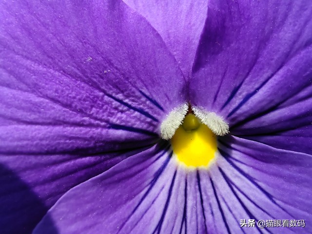 vivox27拍照长曝光效果,vivox27测评拍照