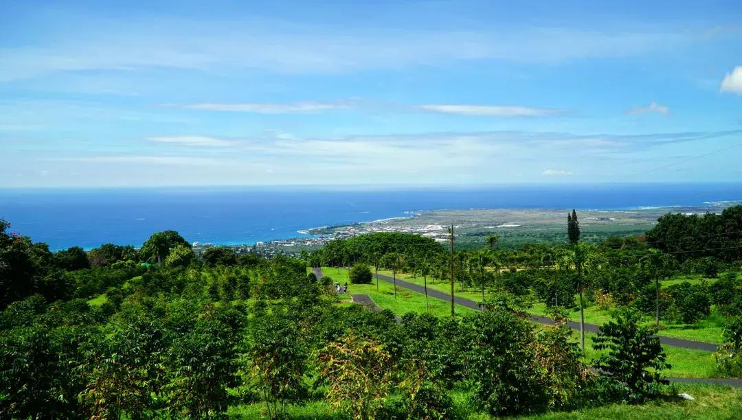 夏威夷大岛自驾游游记,大岛夏威夷岛七日游