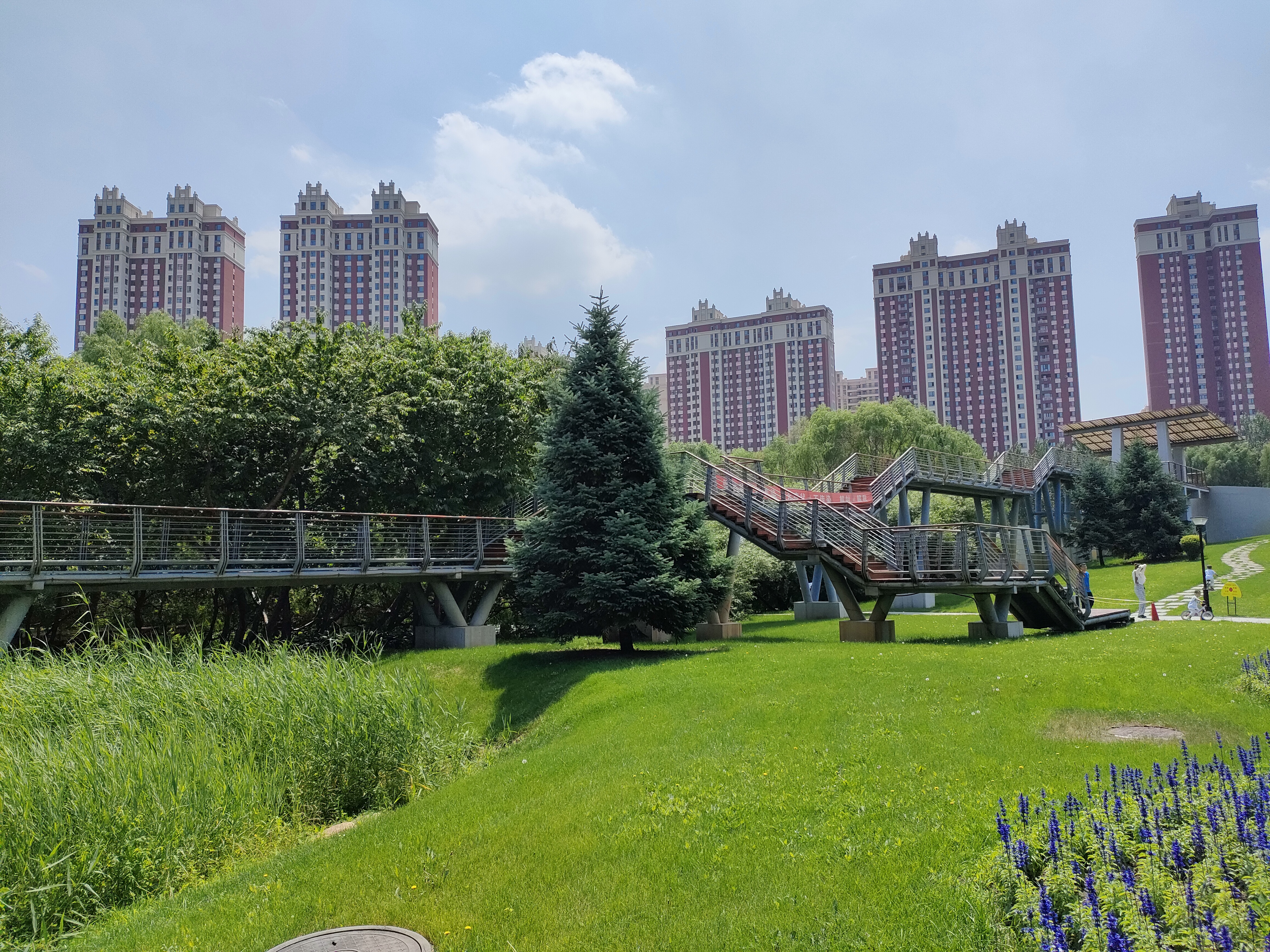 自驾游万绿湖景区门票,自驾游万绿湖旅游攻略大全