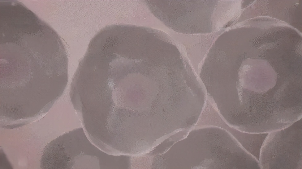 用绵羊油护肤皮肤竟如此水润饱满,莱蔻澳洲绵羊油多效水润嫩肤霜