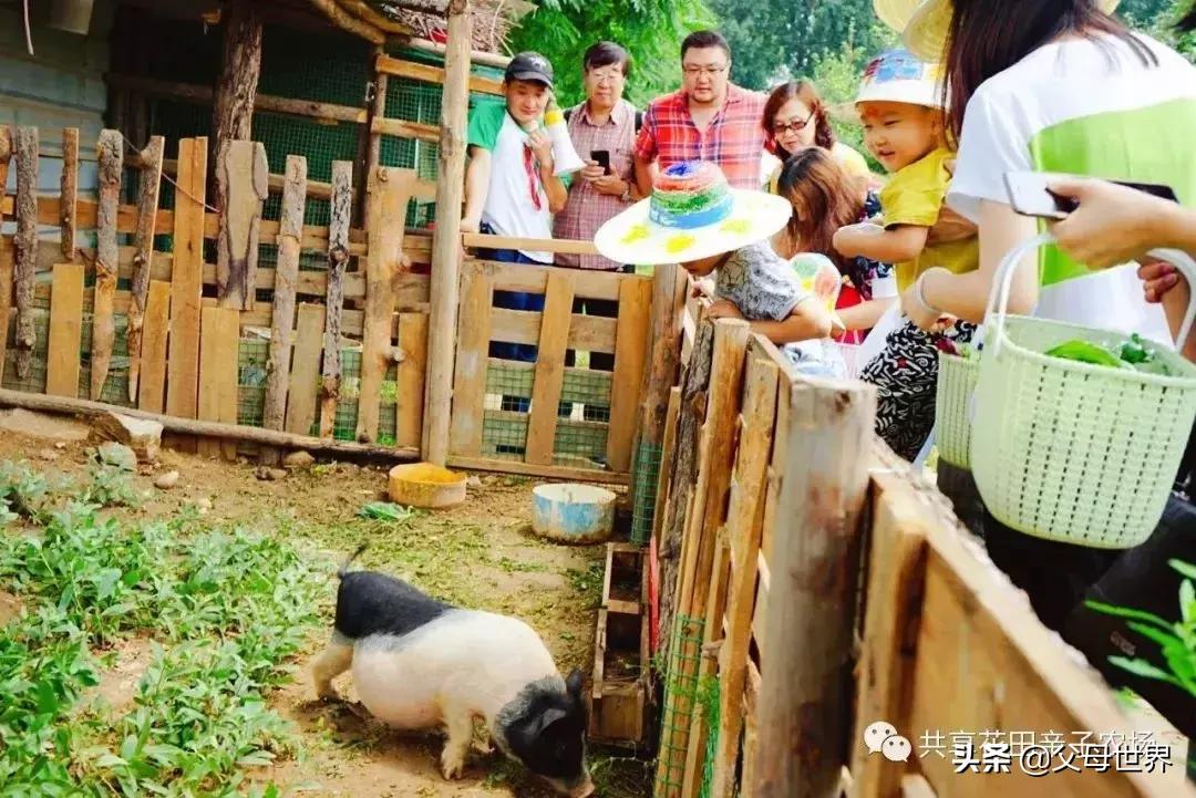 国内不太偏的亲子小众旅游 (全球最适合亲子游的十大旅游胜地)