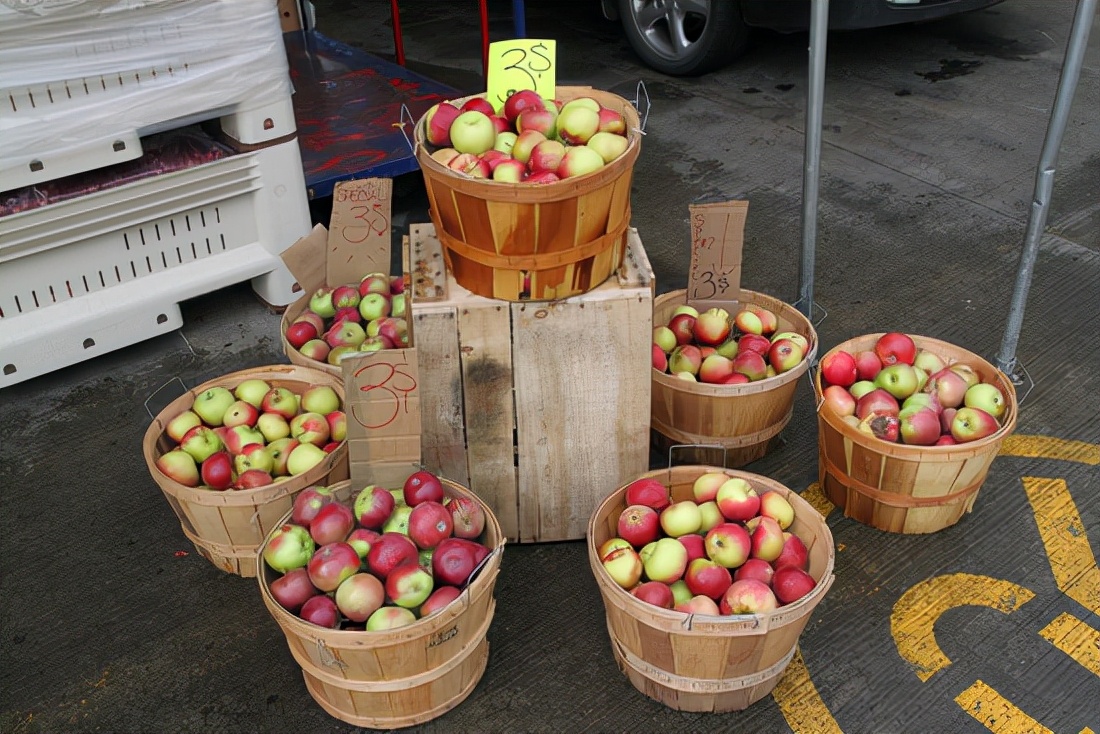 加拿大的真实生活风景,真实的加拿大生活