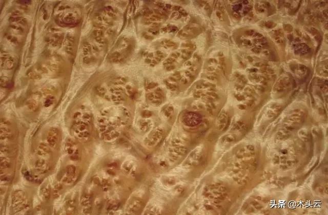 十种家具用木头,常用做家具的木材