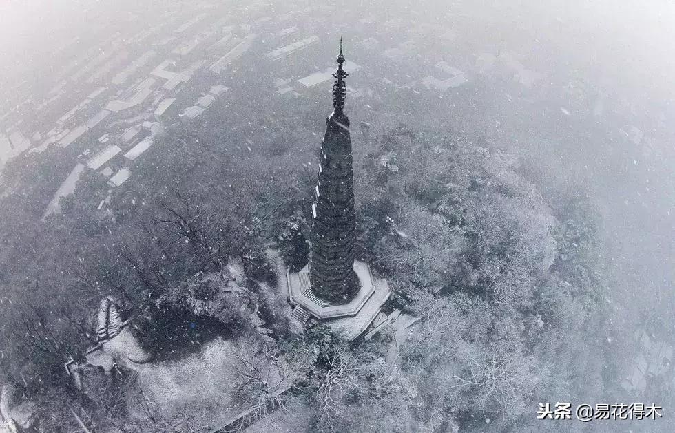 储存雪水浇花好不好,雪水浇花的好处及注意事项