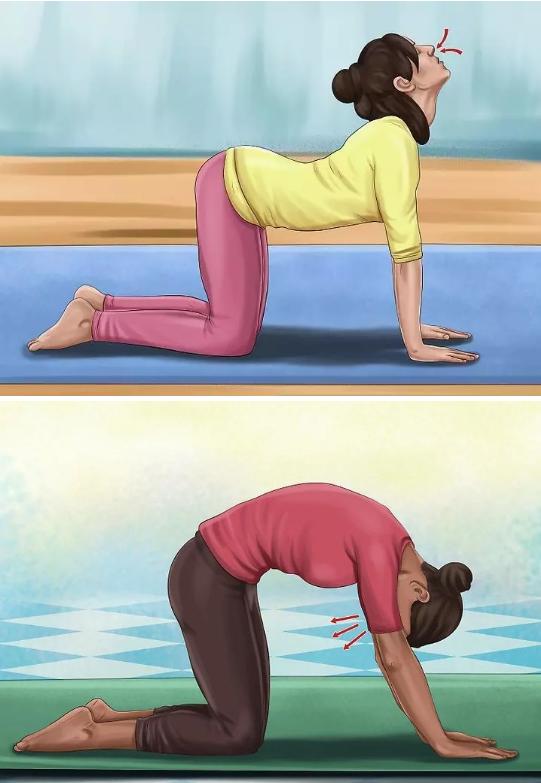 脊柱侧弯背部靠墙,脊柱侧弯让背部肌肉不一样