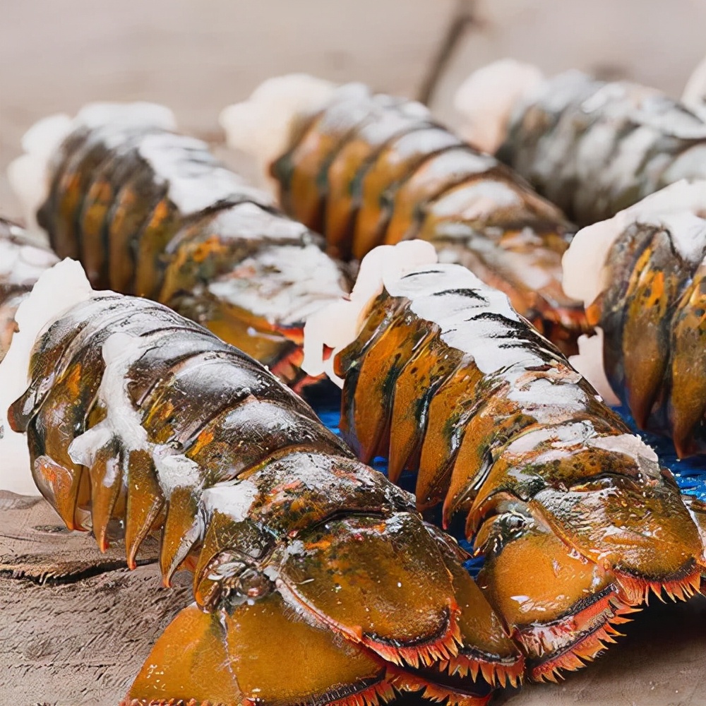 美洲螯龙虾怎么分解,美洲螯龙虾波士顿龙虾