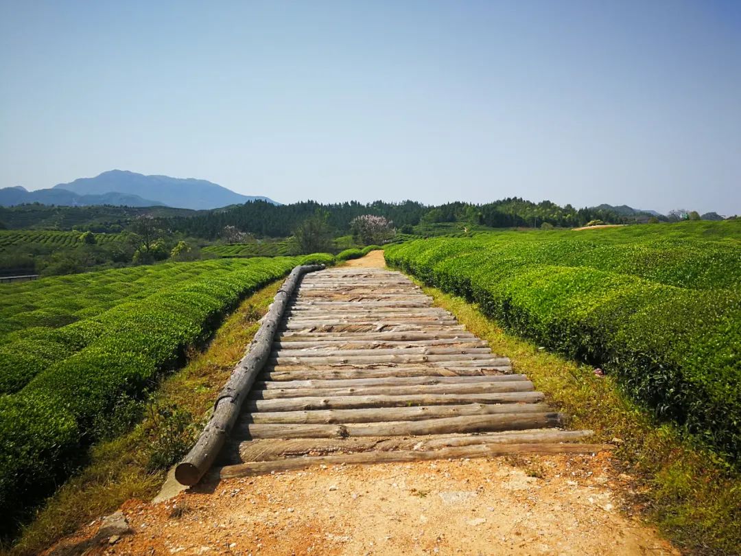 来吧挑战赛完整版,来吧冠军场地自行车
