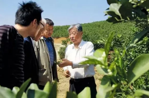 褚时健的人生总有起落,褚时健人生终有起落