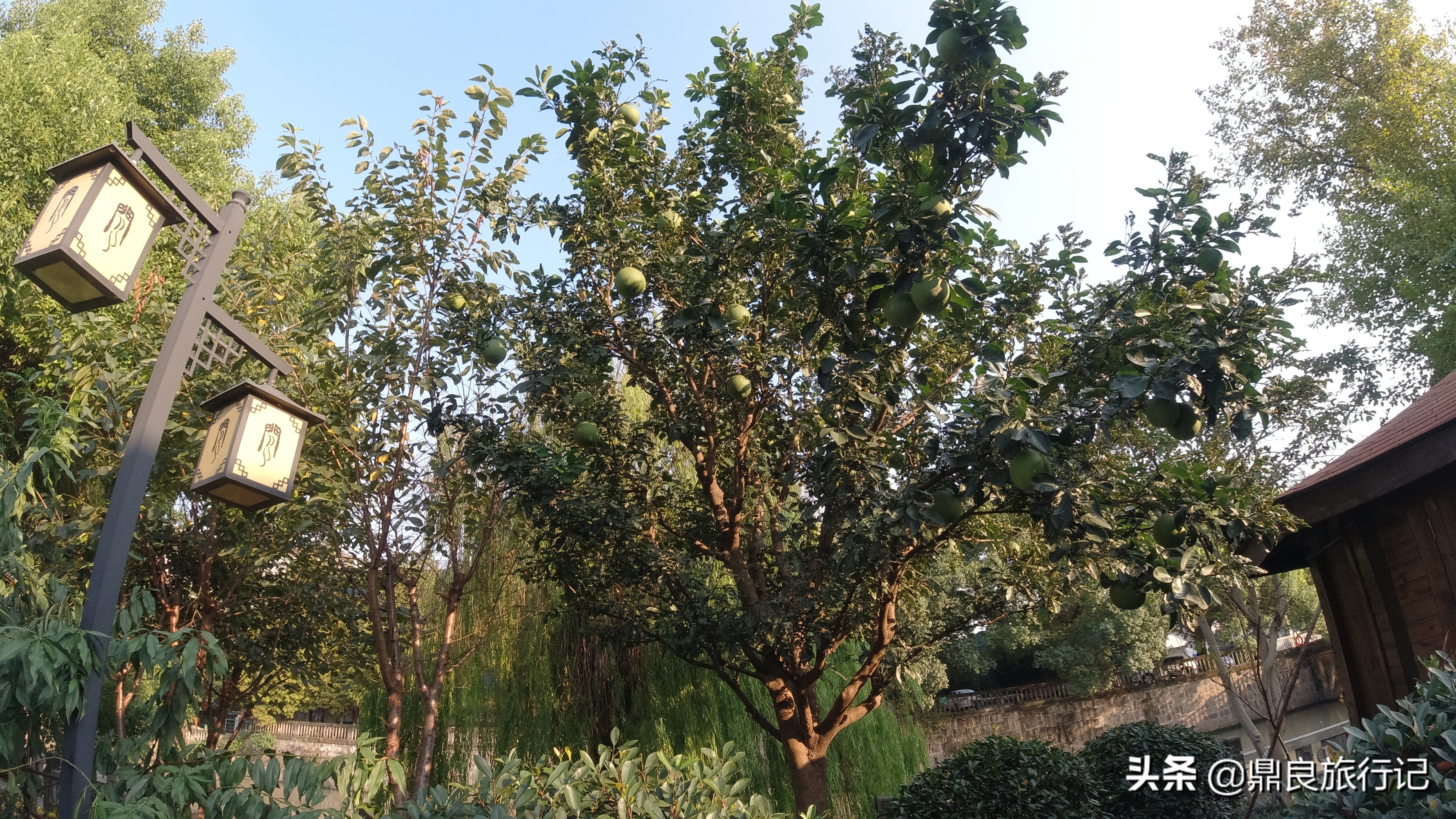 看古街——浙江有个镇，历史悠久，还是百强镇，乍一听以为是西安